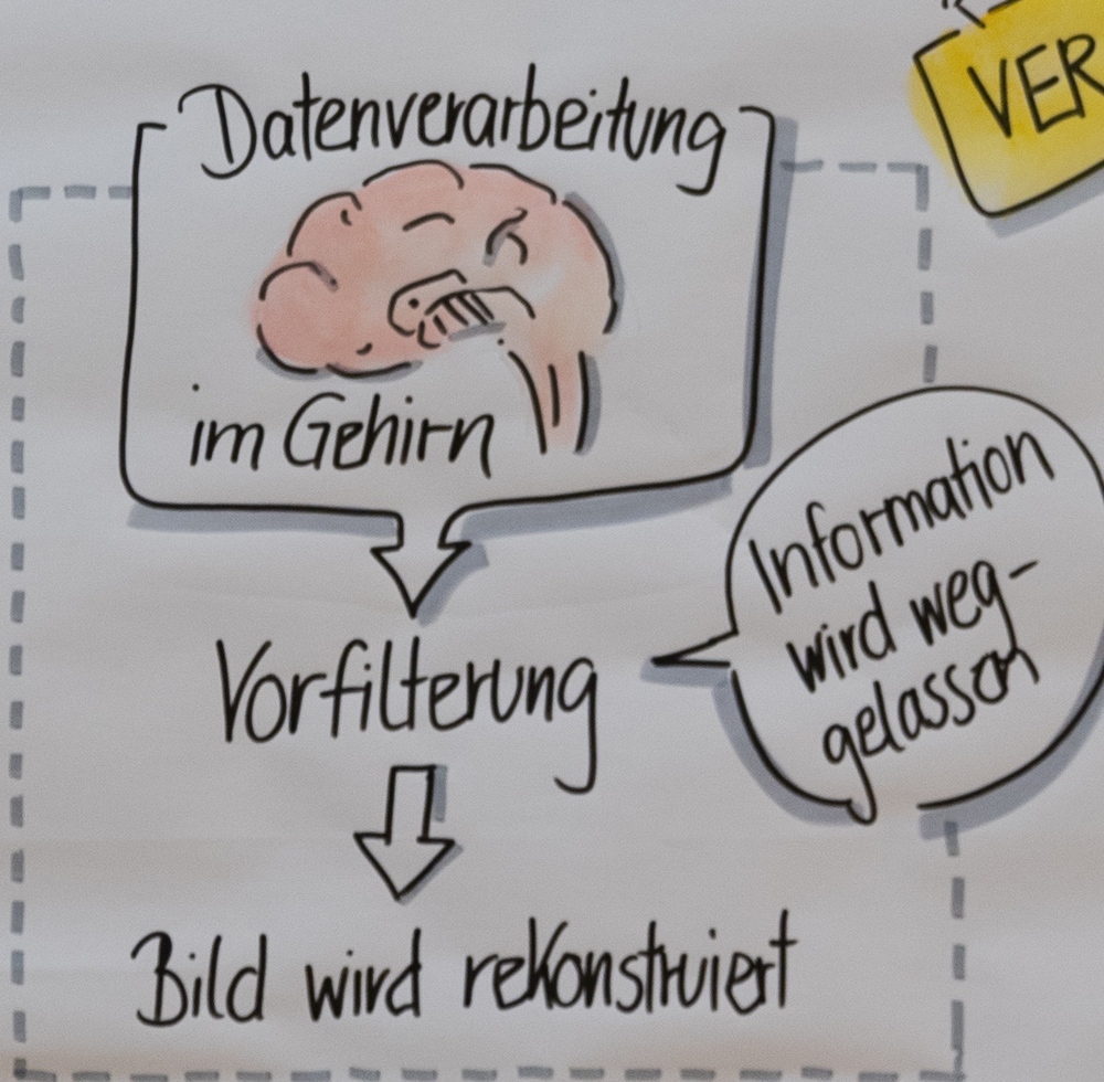Prozessvisualisierung: von der „Datenverarbeitung im Gehirn“ über „Vorfilterung“ zu „Bild wird rekonstruiert“.